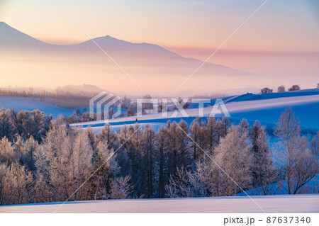 北海道美瑛の丘の冬景色 87637340