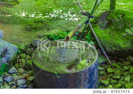 【京都の歴史風景】龍安寺の蹲踞 87637473