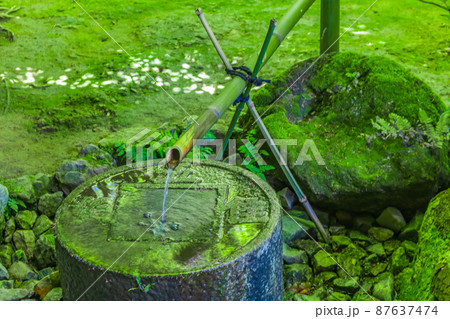 【京都の歴史風景】龍安寺の蹲踞 87637474