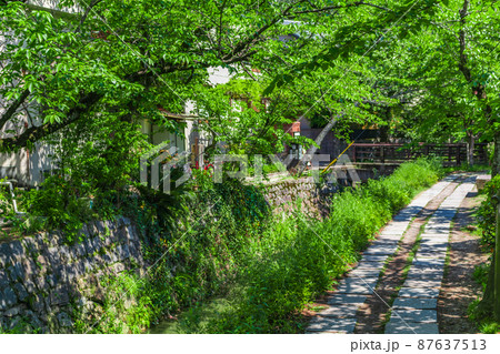 【京都の歴史風景】哲学の道周辺の古都風景 87637513