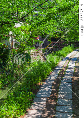 【京都の歴史風景】哲学の道周辺の古都風景 【京都の歴史風景】哲学の道周辺の古都風景 87637514