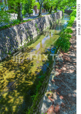【京都の歴史風景】哲学の道周辺の古都風景 87637515