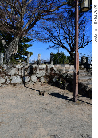 松坂城084 87637670