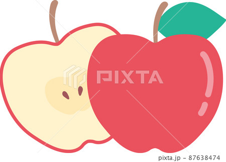 りんごとりんごの断面のイラスト素材
