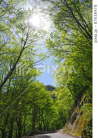 新緑風景【長野県白骨温泉】 87638478