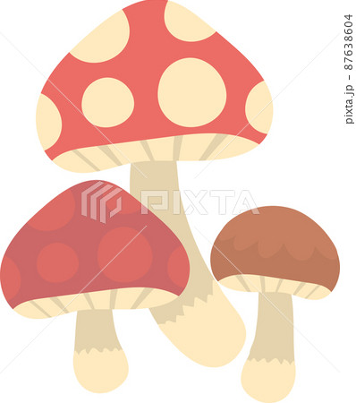キノコ3本 キノコ3本 87638604