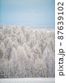 北海道美瑛の丘冬景色 87639102