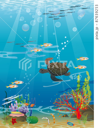 きれいな海の中と泳ぐ魚 ウミガメのイラストのイラスト素材