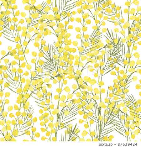 Watercolor hand drawn seamless pattern with spring tender flowers - yellow mimosa on the white background. For textile, wallpaper, wrapping paper, march, easter, card, linen. 87639424