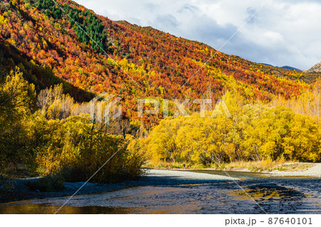 ニュージーランド　オタゴ地方のアロータウンの秋の山の紅葉とアロー川 87640101