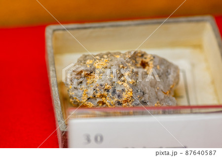 鶏冠石 87640587