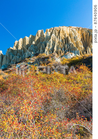 ニュージーランド ワイタキ地方のオマラマ近郊にある断崖絶壁のクレイ・クリフと紅葉 ニュージーランド ワイタキ地方のオマラマ近郊にある断崖絶壁のクレイ・クリフと紅葉 87640906