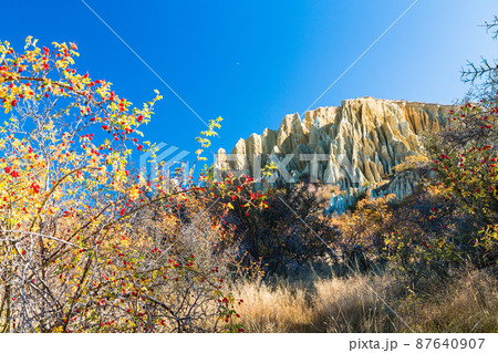ニュージーランド　ワイタキ地方のオマラマ近郊にある断崖絶壁のクレイ・クリフと紅葉 87640907