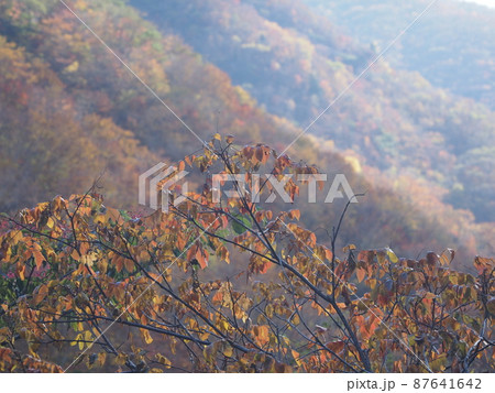 天川村の秋の景色 87641642