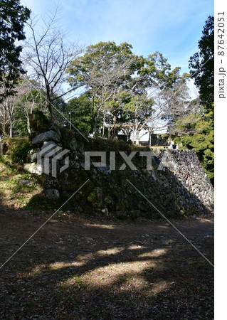 田丸城189 田丸城189 87642051