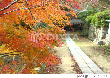 勝持寺の紅葉 勝持寺の紅葉 87642634