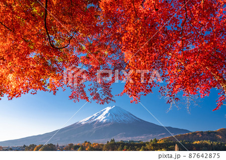 《山梨県》秋の富士山・紅葉のアーチ 87642875