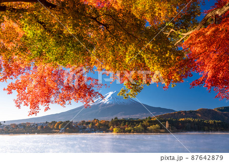 《山梨県》秋の富士山・紅葉のアーチ 87642879