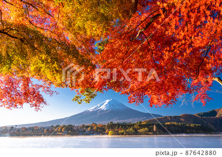 《山梨県》秋の富士山・紅葉のアーチ 87642880