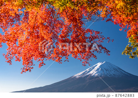 《神奈川県》秋の富士山・紅葉のアーチ 87642883