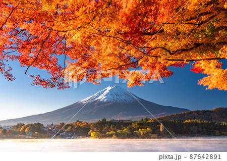 《山梨県》秋の富士山・紅葉のアーチ 87642891