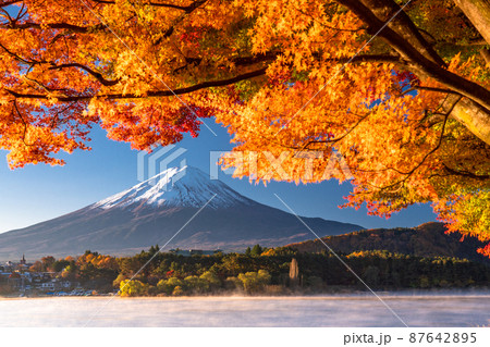 《山梨県》秋の富士山・紅葉のアーチ 87642895