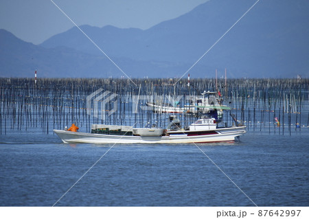 大牟田市 有明海 海苔畑、 大牟田市 有明海 海苔畑、 87642997