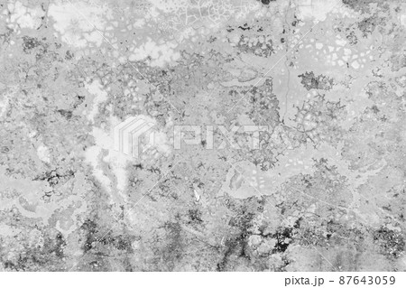 The top view of the old concrete floor, Thickets of lichen on the stone. The top view of the old concrete floor, Thickets of lichen on the stone. 87643059