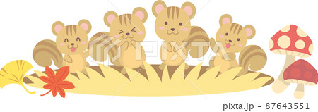 落ち葉とキノコとリス4匹 87643551