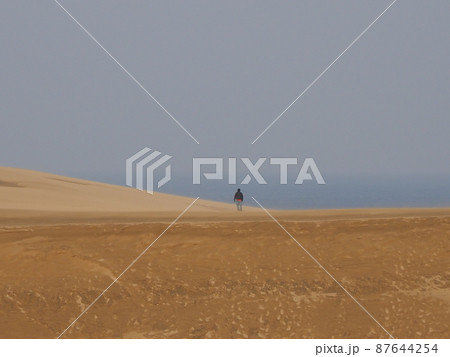 砂漠の上に立つ一人の人間 87644254