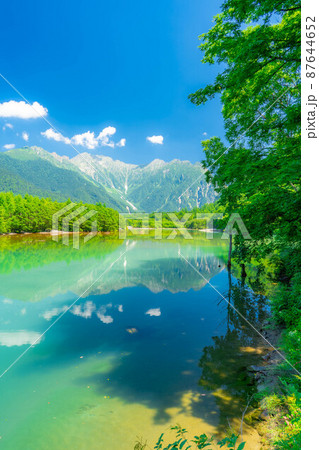 夏の上高地　大正池【長野県】 87644652