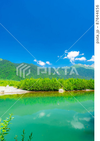 夏の上高地 大正池【長野県】 夏の上高地 大正池【長野県】 87644656