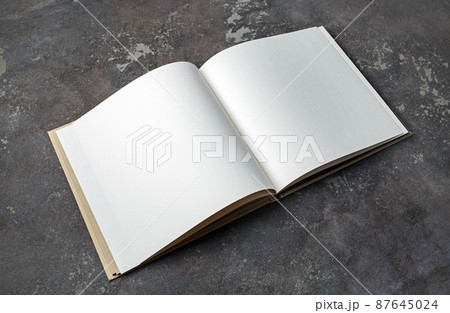 Blank open booklet 87645024