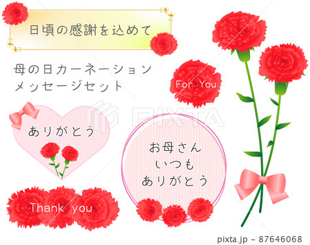 母の日感謝のメッセージカードと赤色のカーネーション 87646068