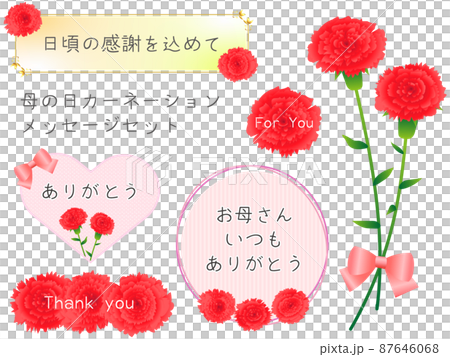母親節感恩節留言卡和紅色康乃馨 87646068