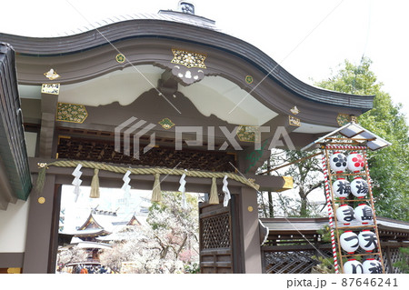 湯島天満宮のうめ　梅まつり　ゆしまてんまんぐう　湯島神社　通称湯島天神　東京都文京区湯島 87646241