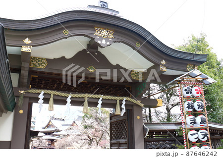 湯島天満宮のうめ 梅まつり ゆしまてんまんぐう 湯島神社 通称湯島天神 東京都文京区湯島 湯島天満宮のうめ 梅まつり ゆしまてんまんぐう 湯島神社 通称湯島天神 東京都文京区湯島 87646242