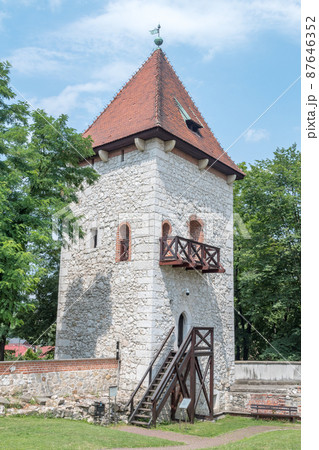 Castle tower of Wieliczka Zupny Castle in Poland. 87646352
