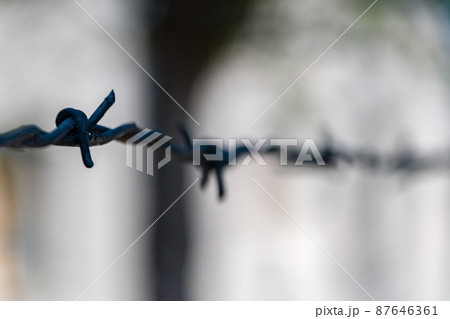 Electrified barbed wire fence in Auschwitz concentration camp (Konzentrationslager Auschwitz) in Poland. 87646361