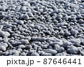 雪 87646441