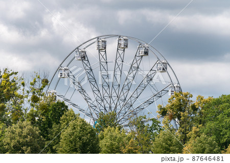 View of ferris wheel between trees. 87646481
