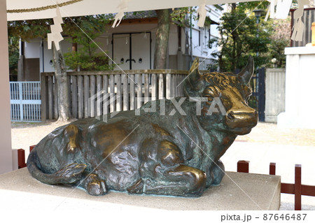 亀戸天神社の神牛　梅まつり　東京都江東区亀戸 87646487