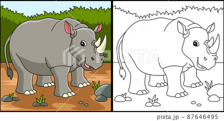Rhino Coloring Page Colored Illustration 87646495
