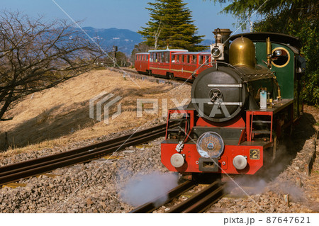 15インチゲージ鉄道　ロムニー鉄道　SLカンブリア号（修善寺虹の郷） 87647621