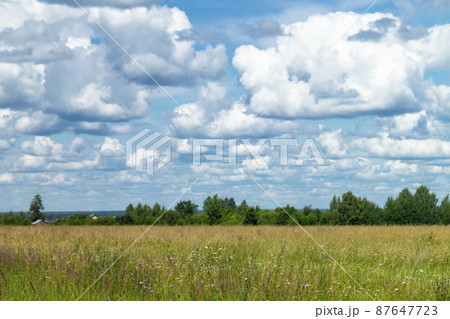 Year landscape with floor on background sky with cloud 87647723