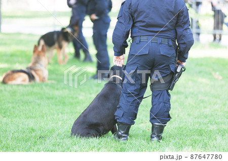 Policeman with police dog on duty 87647780