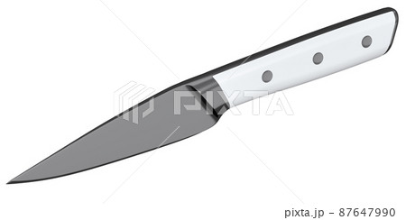Chef's kitchen knife with a wooden handle isolated on white background. Chef's kitchen knife with a wooden handle isolated on white background. 87647990