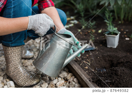 Woman in her garden water with watering can of plants. Concept of gardening and spring and bio. 87649382