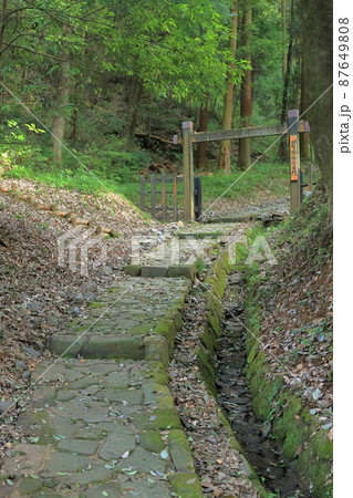 明智城趾大手門(明智城 岐阜県 可児市) 明智城趾大手門(明智城 岐阜県 可児市) 87649808