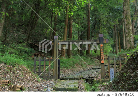 明智城趾大手門（明智城　岐阜県 可児市） 87649810